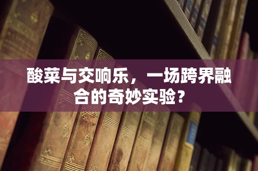 酸菜与交响乐，一场跨界融合的奇妙实验？