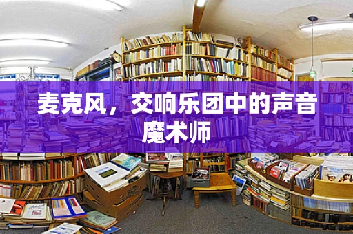 麦克风，交响乐团中的声音魔术师