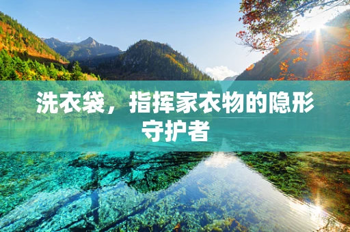 洗衣袋，指挥家衣物的隐形守护者