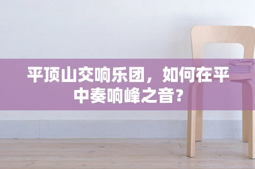 平顶山交响乐团，如何在平中奏响峰之音？