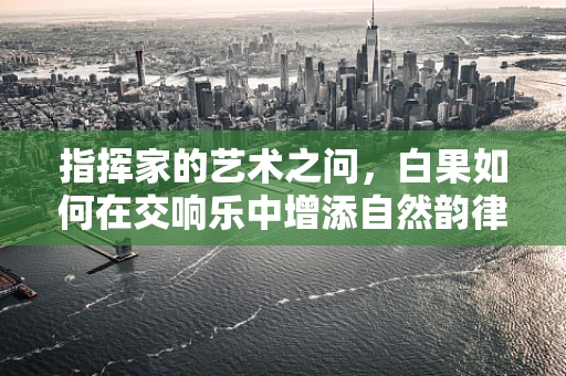 指挥家的艺术之问，白果如何在交响乐中增添自然韵律？