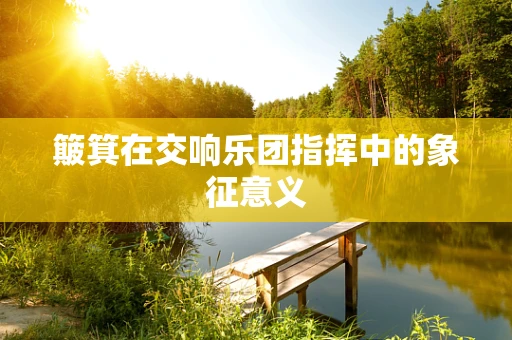簸箕在交响乐团指挥中的象征意义