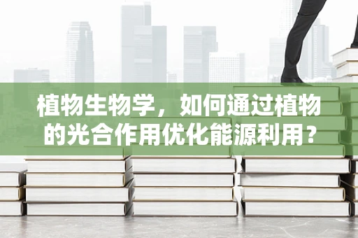 植物生物学，如何通过植物的光合作用优化能源利用？