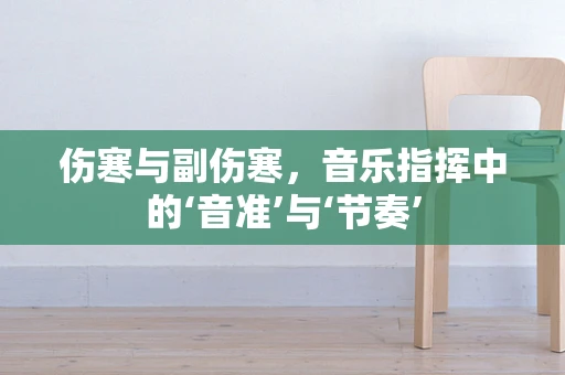 伤寒与副伤寒，音乐指挥中的‘音准’与‘节奏’