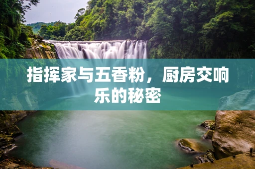 指挥家与五香粉，厨房交响乐的秘密