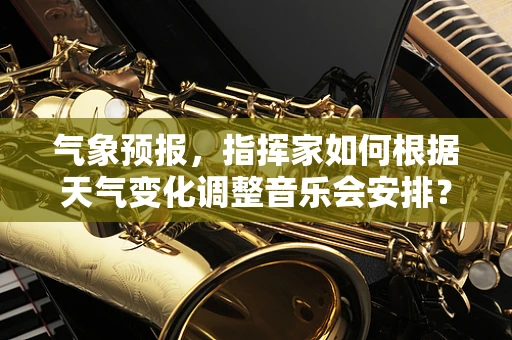 气象预报，指挥家如何根据天气变化调整音乐会安排？