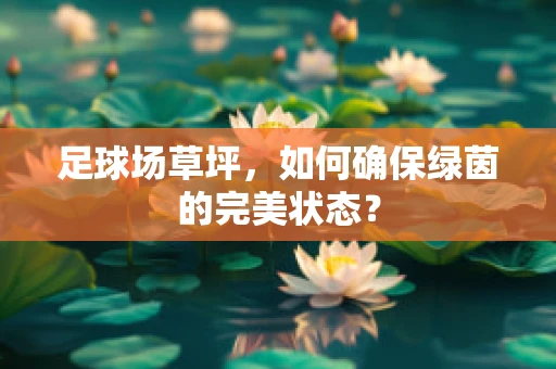 足球场草坪，如何确保绿茵的完美状态？