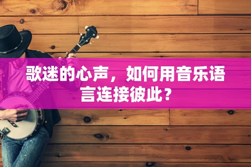 歌迷的心声，如何用音乐语言连接彼此？