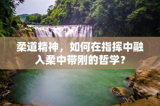 柔道精神，如何在指挥中融入柔中带刚的哲学？