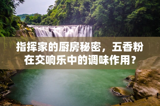 指挥家的厨房秘密，五香粉在交响乐中的调味作用？