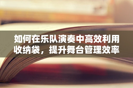 如何在乐队演奏中高效利用收纳袋，提升舞台管理效率？