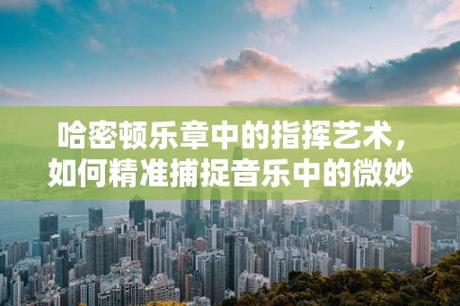 哈密顿乐章中的指挥艺术，如何精准捕捉音乐中的微妙情感？