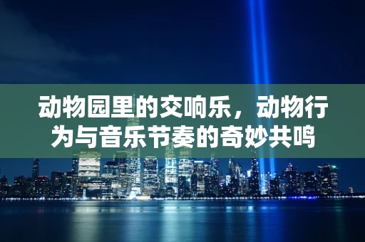 动物园里的交响乐，动物行为与音乐节奏的奇妙共鸣