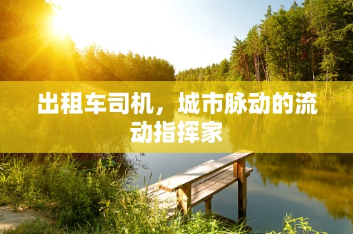 出租车司机，城市脉动的流动指挥家