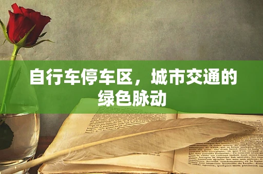 自行车停车区，城市交通的绿色脉动