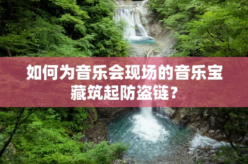 如何为音乐会现场的音乐宝藏筑起防盗链？