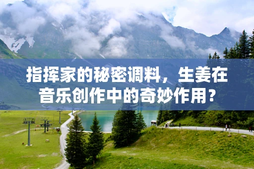 指挥家的秘密调料，生姜在音乐创作中的奇妙作用？