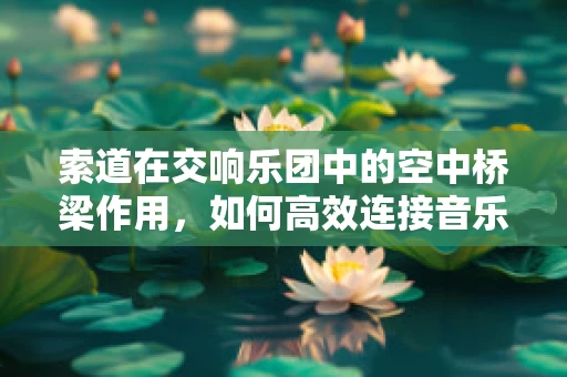 索道在交响乐团中的空中桥梁作用，如何高效连接音乐创意与现场氛围？