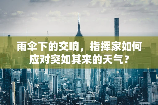 雨伞下的交响，指挥家如何应对突如其来的天气？