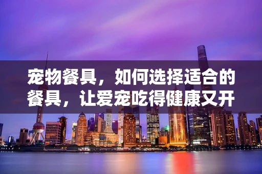 宠物餐具，如何选择适合的餐具，让爱宠吃得健康又开心？