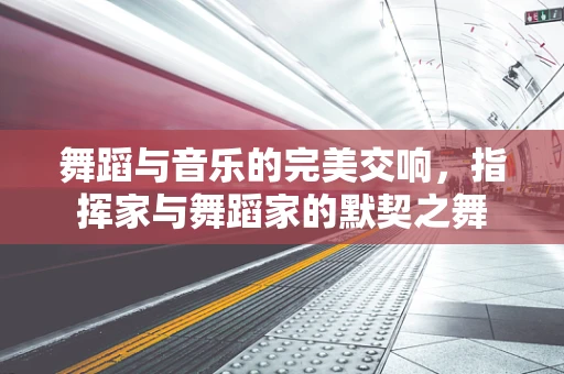 舞蹈与音乐的完美交响，指挥家与舞蹈家的默契之舞