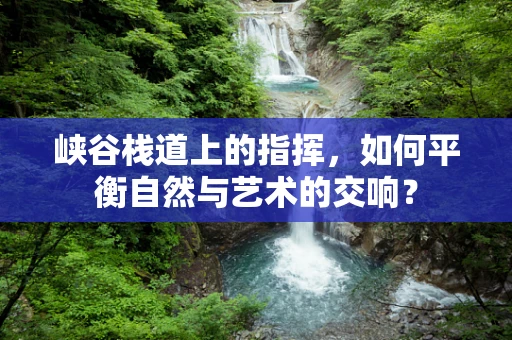 峡谷栈道上的指挥，如何平衡自然与艺术的交响？
