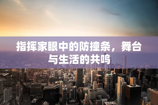 指挥家眼中的防撞条，舞台与生活的共鸣