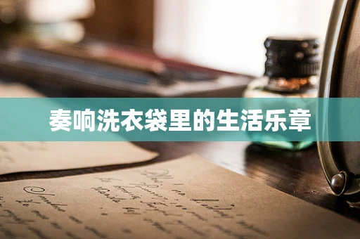 奏响洗衣袋里的生活乐章