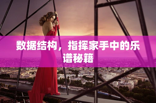 数据结构，指挥家手中的乐谱秘籍