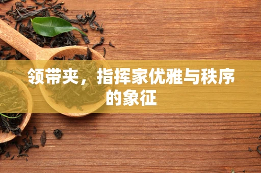 领带夹，指挥家优雅与秩序的象征