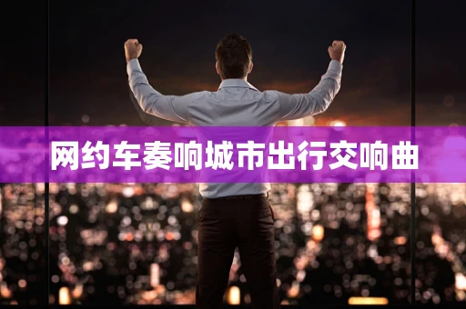 网约车奏响城市出行交响曲