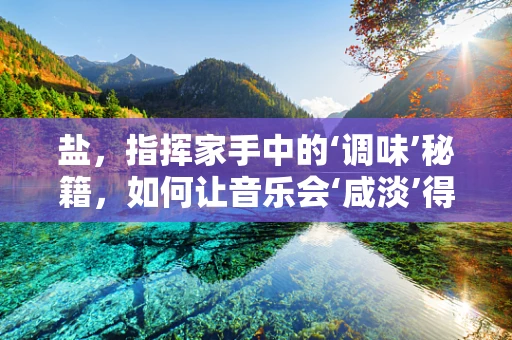 盐，指挥家手中的‘调味’秘籍，如何让音乐会‘咸淡’得宜？