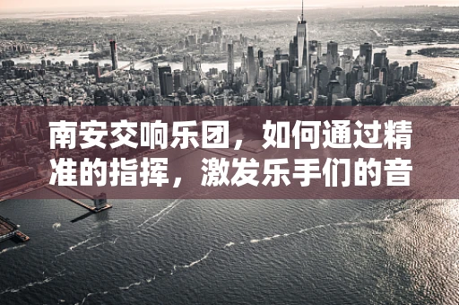 南安交响乐团，如何通过精准的指挥，激发乐手们的音乐激情？