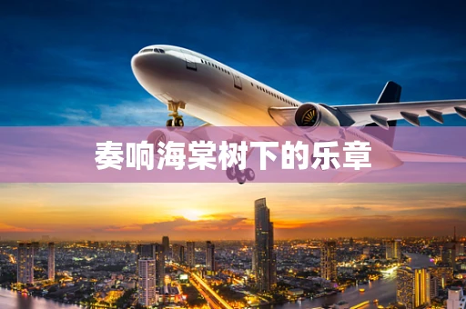 奏响海棠树下的乐章