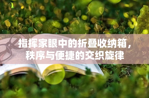 指挥家眼中的折叠收纳箱，秩序与便捷的交织旋律