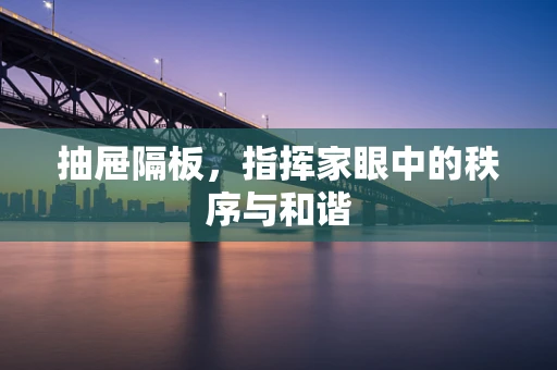 抽屉隔板，指挥家眼中的秩序与和谐