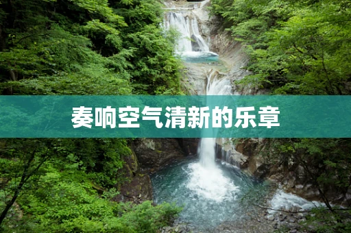 奏响空气清新的乐章