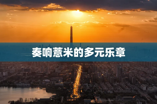 奏响薏米的多元乐章