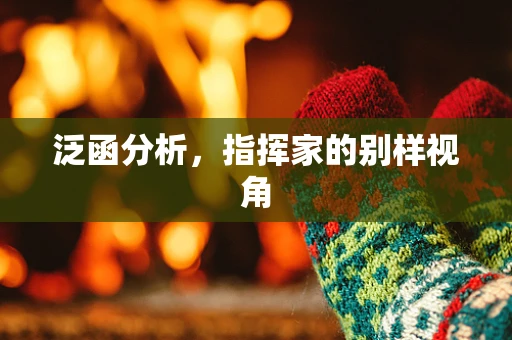 泛函分析，指挥家的别样视角