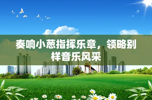 奏响小葱指挥乐章，领略别样音乐风采