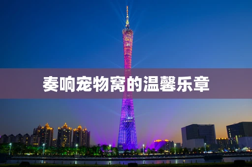 奏响宠物窝的温馨乐章
