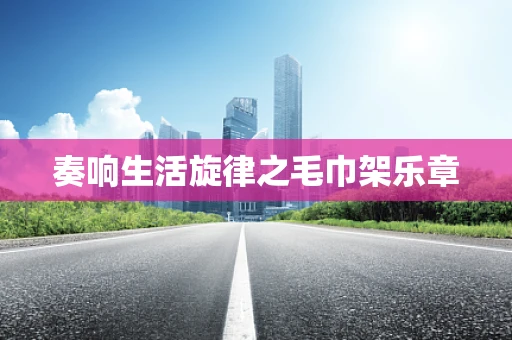 奏响生活旋律之毛巾架乐章