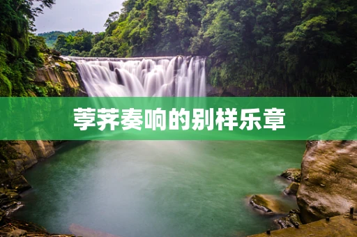 荸荠奏响的别样乐章