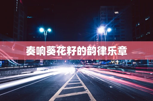 奏响葵花籽的韵律乐章