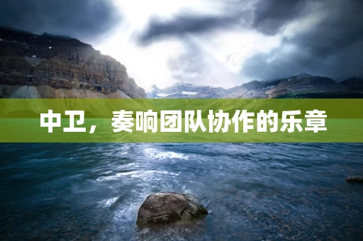 中卫，奏响团队协作的乐章