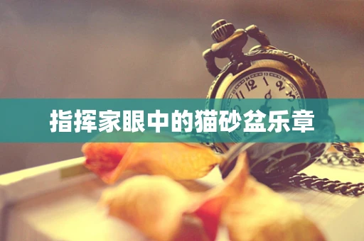 指挥家眼中的猫砂盆乐章