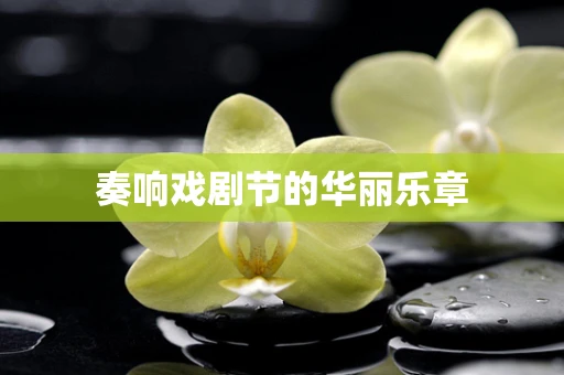 奏响戏剧节的华丽乐章