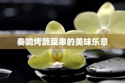 奏响烤蔬菜串的美味乐章