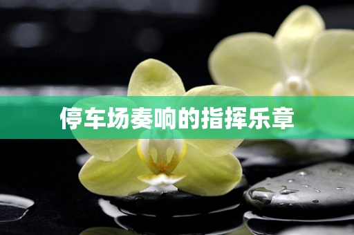 停车场奏响的指挥乐章