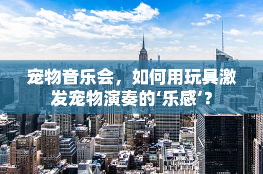 宠物音乐会，如何用玩具激发宠物演奏的‘乐感’？